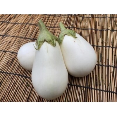 【虹色Farm】【先行受付・2023年7～8月発送】ナス好きセット《京野菜/賀茂茄子入り》約5種類