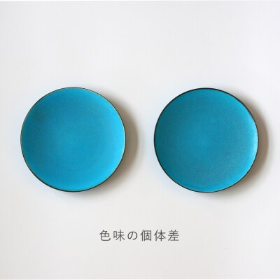 【ZUIKOU】プレート L　No.009 Turquoise (ターコイズブルー/青) 