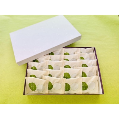 【京菓匠 鶴屋長生】京のまるまる抹茶みるく饅頭(20個入)