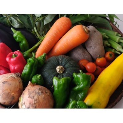 【緑のゆうき】お申込頂いた野菜の売上の1%が社会への応援に　京都産こだわりの野菜のセット