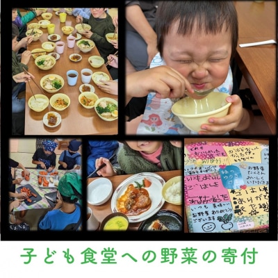 【緑のゆうき】お申込頂いた野菜の売上の1%が社会への応援に　京都産こだわりの野菜のセット