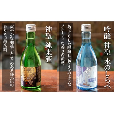 【山本本家】日本酒6種飲み比べセット(300ml×6本セット)