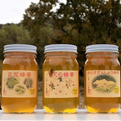 【京都・ヒグチ養蜂園】京都市産天然はちみつ3本セット
