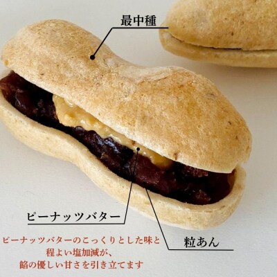 【種嘉商店】種実 落花生セット (たねみ ぴーなっつ)