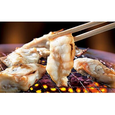 【とらふぐ料理玄品】 京都祇園店・四条店・烏丸店 お食事券(15,000円分)