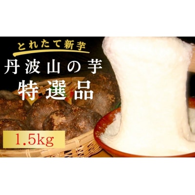 【芋家なか吉】プレミアム丹波山の芋特選品1.5kg