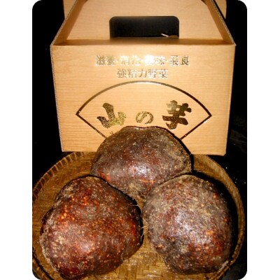 【芋家なか吉】プレミアム丹波山の芋特選品1.5kg