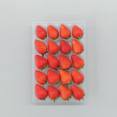 <予約受付>【オーガニックnico】おふくわけいちご　<京都洛西大原野産　有機JAS認定>