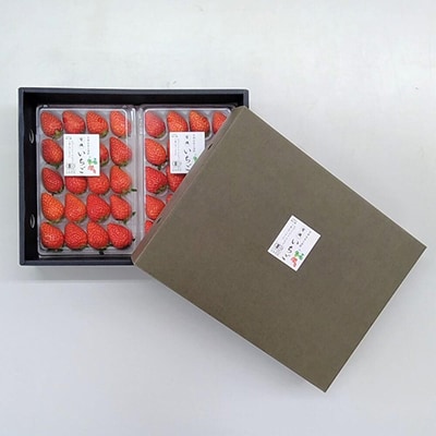 【オーガニックnico】おふくわけいちご　＜京都産有機JAS認定＞ | 人気  いちご フルーツ