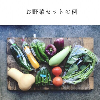 【Organic Vege Annex】京都市産お野菜セット+無添加惣菜8パックセット