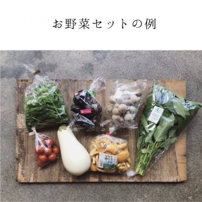 【Organic Vege Annex】京都市産お野菜セット+無添加惣菜8パックセット