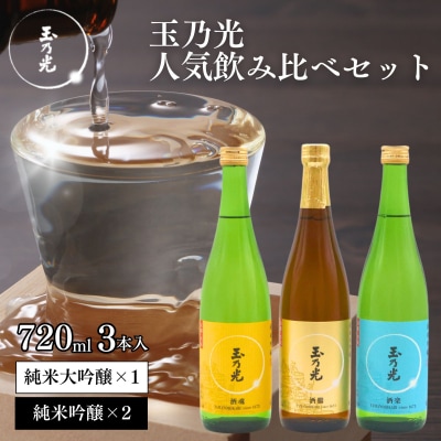 《10月寄付額改定》【玉乃光酒造】定番3種飲み比べセット |京都 人気詰合せ 日本酒