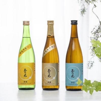 【玉乃光酒造】定番3種飲み比べセット