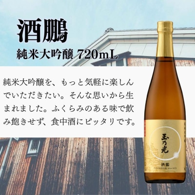 【玉乃光酒造】定番3種飲み比べセット |京都 人気詰合せ 日本酒