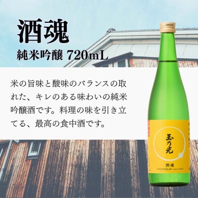 【玉乃光酒造】定番3種飲み比べセット |京都 人気詰合せ 日本酒
