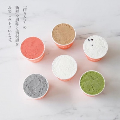 【Japanese Ice OUCA】六味ギフト