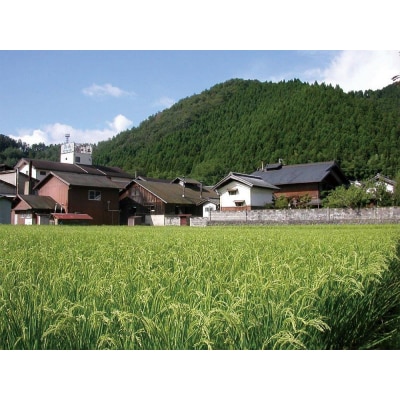 【羽田酒造】初日の出「蒼光」純米大吟醸(桐箱入)