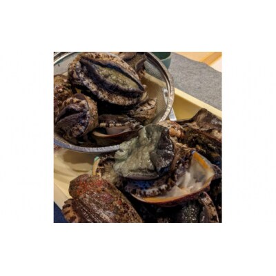 【おが和】【昼】おまかせショートコースお食事券2名様分(ぐるなびセレクション)