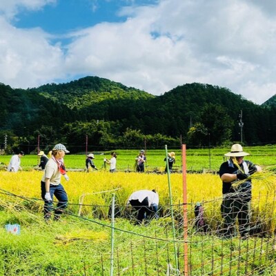 【京都岩倉坂原米作りプロジェクト】京都岩倉さかばら 角質ケアハンドクリーム(60g×2本)