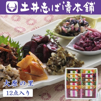 【土井志ば漬本舗】大原の里京漬物10種12点詰め合わせ W-30 |京都 漬物 有名店 人気セット