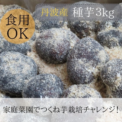 【芋家なか吉】丹波山の芋 種芋 3kg 食用でもOK/令和7年11月収穫