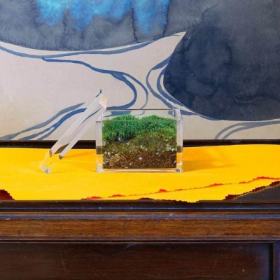 【銀座花粂】清水寺の苔　春　(3月20日頃到着　寄付日:2月3日から3月1日の方) 