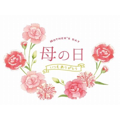 【京・料亭 わらびの里】母の日感謝膳 一人前(茶碗蒸し付き)KW-50