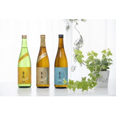 《日本酒セット》伏見酒フェス-FUSHIMI SAKE FES.-第1部チケット&玉乃光飲み比べ 