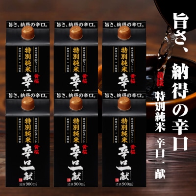 【黄桜】特別純米 辛口一献 (900mlパック×6本)
