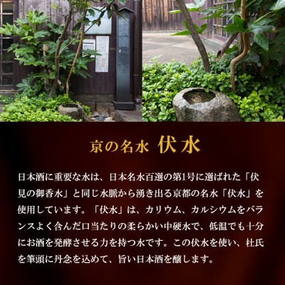 【黄桜】特別純米 辛口一献 (900mlパック×6本)