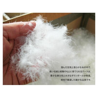 【大東寝具】冬用羽毛布団 オズゴ ポーランド産(セミダブル)