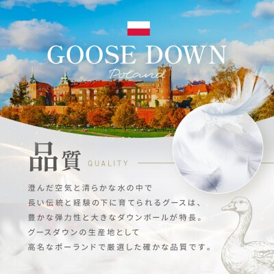 【大東寝具】≪春夏用≫肌掛け羽毛布団 オズゴ ポーランド産 (クイーン)