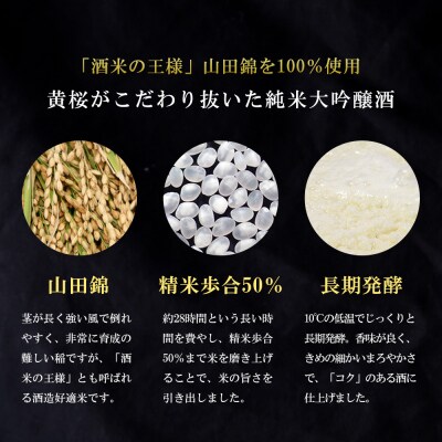 【黄桜】S純米大吟醸 (180ml×20本)