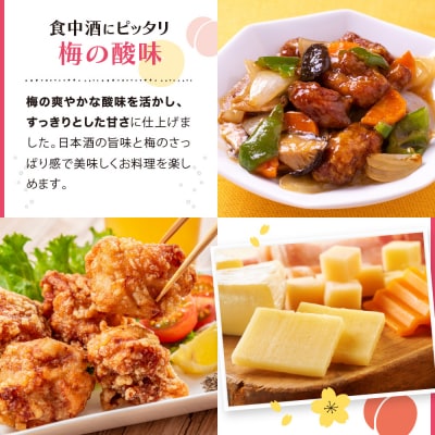 【黄桜】ソフトハイボール梅酒  (235ml×12本)