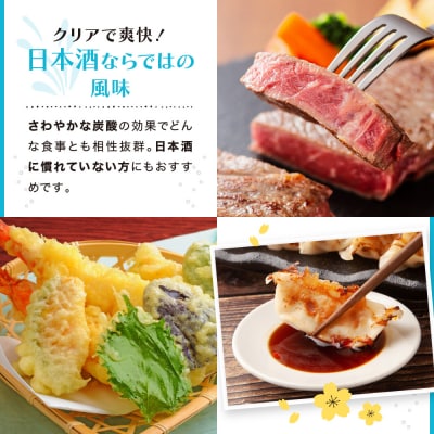 【黄桜】ソフトハイボール日本酒 (235ml×12本)