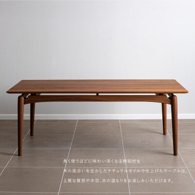 【FILE FURNITURE WORKS】ダイニングテーブル DT-3 Dining Table