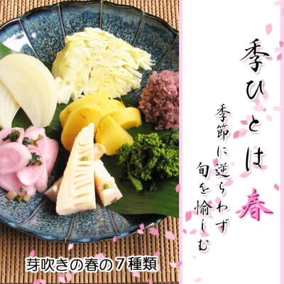 【千枚漬本家 大藤】《5/31まで》京都の漬物7種詰合せ「季ひとは　春」
