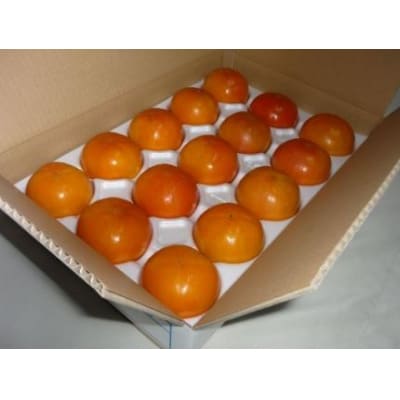 【京都市農協 大枝支部】<令和8年12月初旬～発送>大枝冨有柿(Mサイズ 18個)