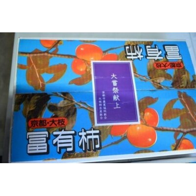【京都市農協 大枝支部】<令和8年12月初旬～発送>大枝冨有柿(Lサイズ 15個)