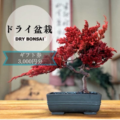 【ドライ盆栽】ギフト券 3,000円分(ワークショップ・作品お求めに使用可能)