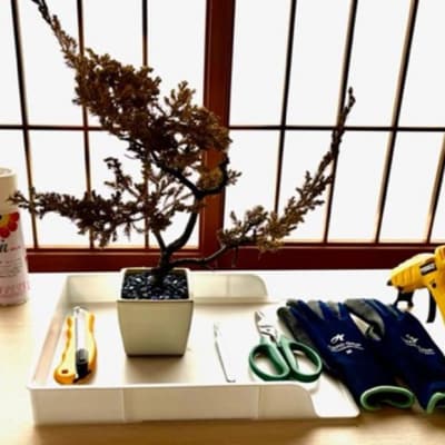 【ドライ盆栽】ギフト券 3,000円分(ワークショップ・作品お求めに使用可能)