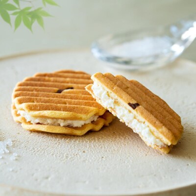 【鼓月】お中元・夏の銘菓撰10種詰め合わせ