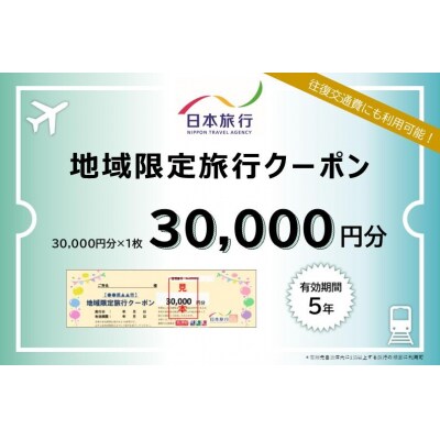 京都府京都市 日本旅行 地域限定旅行クーポン30,000円分