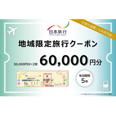 京都府京都市 日本旅行 地域限定旅行クーポン60,000円分(ホテル、旅館、宿泊)