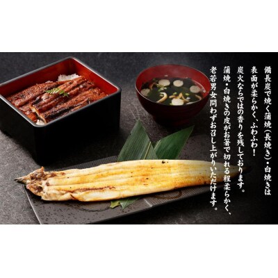 [お中元・夏ギフト]【秋月】うなぎ蒲焼炭火手焼　うなぎ白焼炭火手焼きの紅白セット