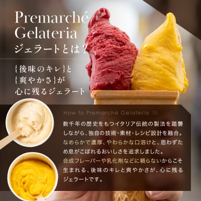 プレマルシェ・ジェラテリア 人気ジェラート6種食べ比べ Non-Milk set|ジェラート 人気
