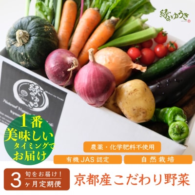 <3か月定期便>【緑のゆうき】京都産こだわりの野菜セット