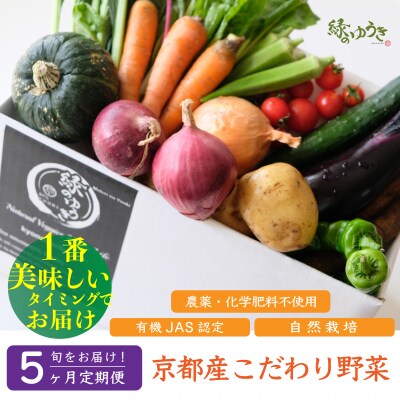 <5か月定期>【緑のゆうき】京都産こだわりの野菜セット