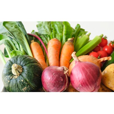 <5か月定期>【緑のゆうき】京都産こだわりの野菜セット
