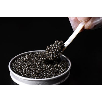 【京都吉兆】熟成うま味キャビアーオシェトラー　12g×2個